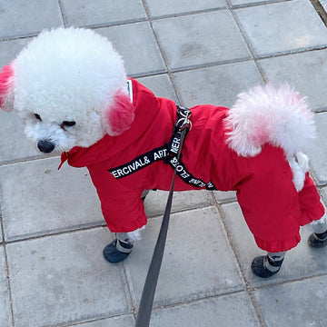 Four-Legged Warm Pet Clothes